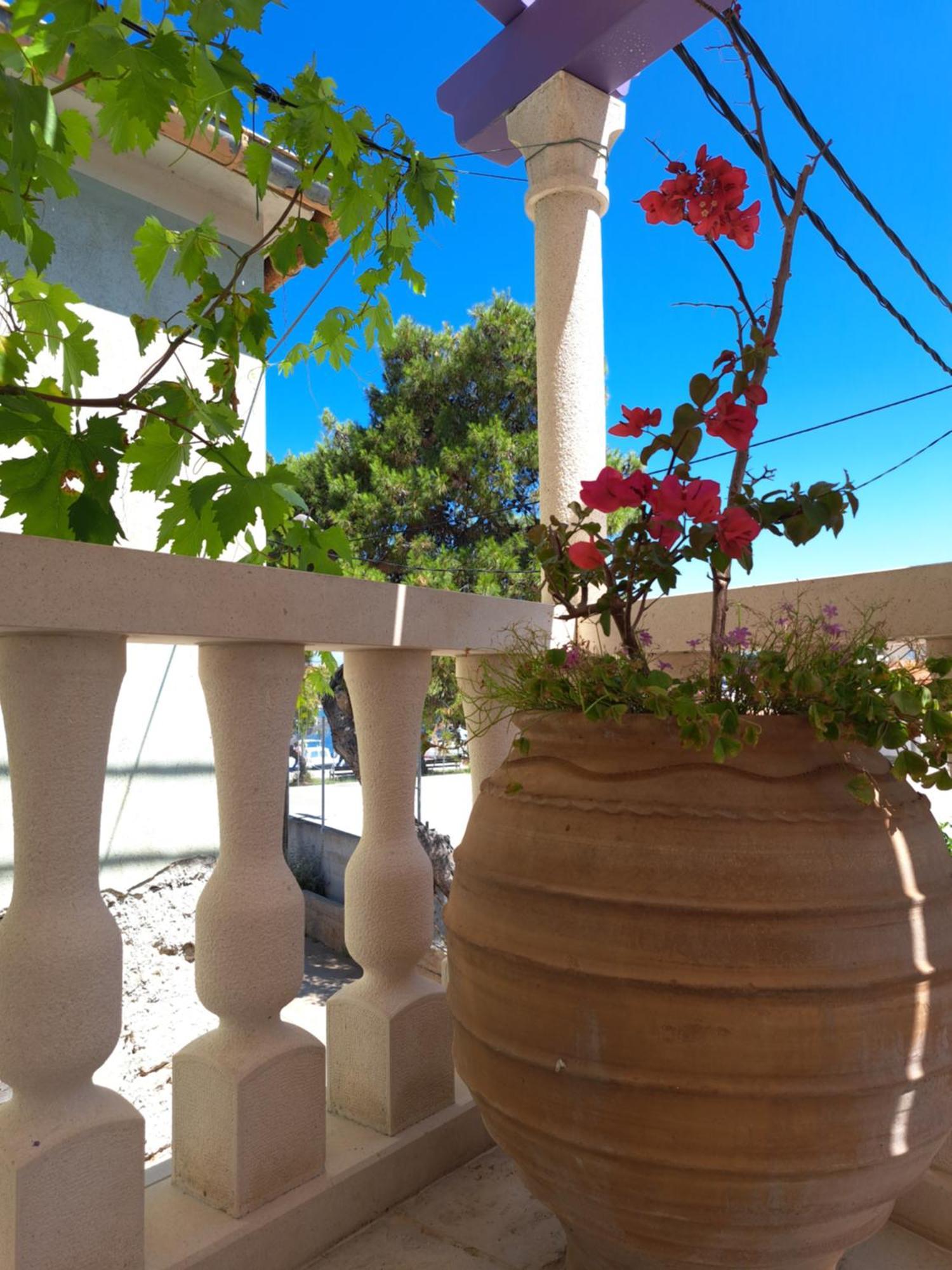 Jardin Kapetanova Kuca Veli Iž Exterior foto